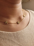 Daisy Flower Combo